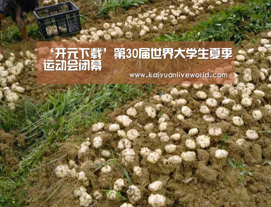 开元体育