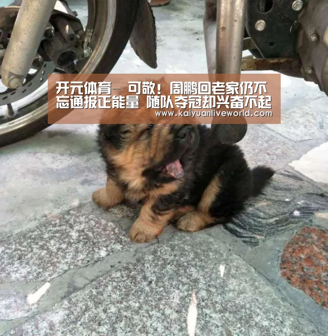 开元体育-
可敬!周鹏回老家仍不忘通报正能量 随队夺冠却兴奋不起来(图3) 开元娱乐